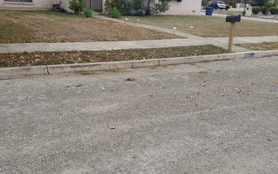 Photo of Christian L.'s yard after getting landscaping in Christine, TX