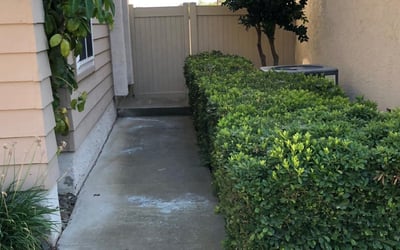 Photo of David W.'s yard after getting landscaping in La Jolla, CA