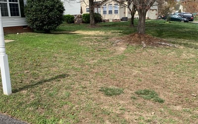 Photo of Carl S.'s yard after getting landscaping in Crozier, VA