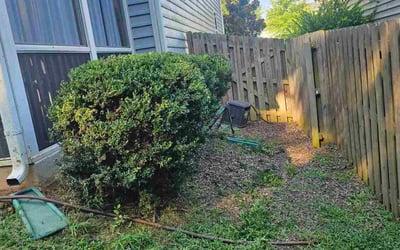 Photo of Lisa S.'s yard after getting landscaping in Hillsborough, NC