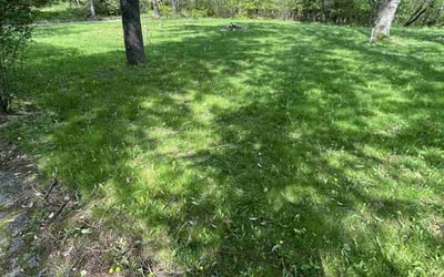 Photo of Kenneth L.'s yard after getting landscaping in Lapeer, MI