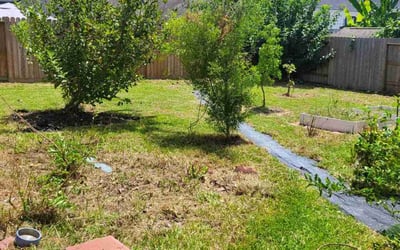 Photo of Lin Z.'s yard after getting landscaping in Houston, TX