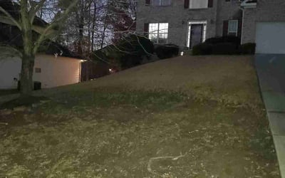 Photo of Kimberly C.'s yard after getting tree care in Roswell, GA