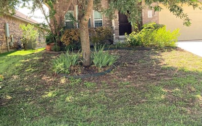 Photo of Samuel B.'s yard after getting landscaping in Boerne, TX
