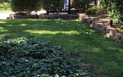 Photo of Sadie O.'s yard after getting landscaping in Pleasanton, KS