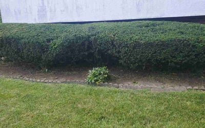 Photo of Craig C.'s yard after getting landscaping in Crooksville, OH