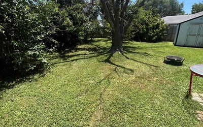 Photo of Mike B.'s yard after getting landscaping in Desoto, TX