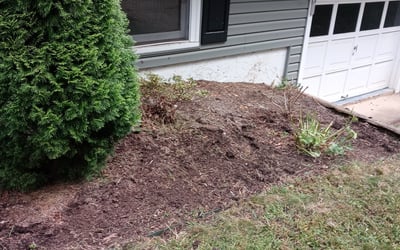 Photo of Ashley B.'s yard after getting landscaping in Hendersonville, NC