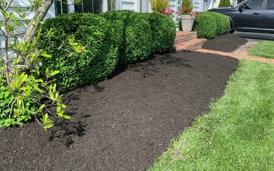Photo of William B.'s yard after getting landscaping in Granville, OH