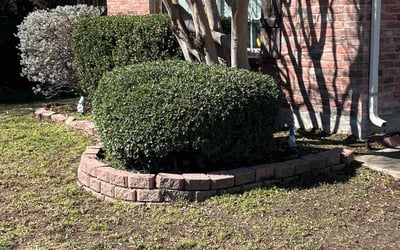 Photo of Amanda K.'s yard after getting landscaping in Forney, TX