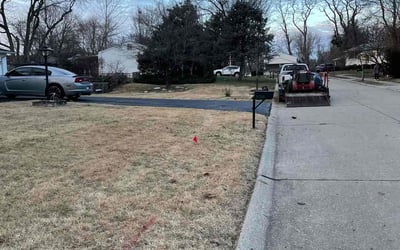 Photo of Ashley B.'s yard after getting lawn care in Maryland Heights, MO