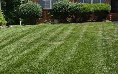 Photo of Scott B.'s yard after getting landscaping in Smyrna, SC