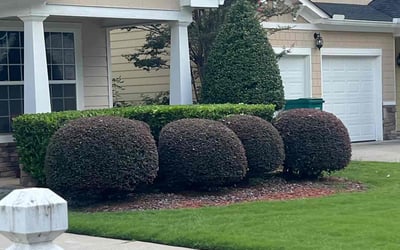 Photo of Heather T.'s yard after getting landscaping in Mableton, GA