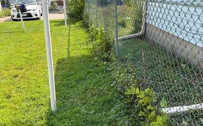 Photo of Joy M.'s yard after getting tree care in Brainerd, MN