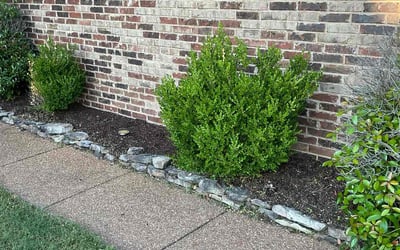 Photo of Matt F.'s yard after getting landscaping in Oakland, TN