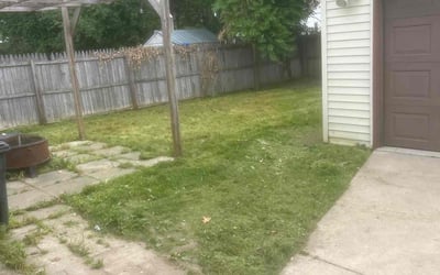 Photo of Jasmine K.'s yard after getting landscaping in Royal Oak, MI