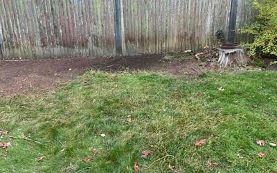 Photo of Jessica F.'s yard after getting landscaping in Pembroke, MA