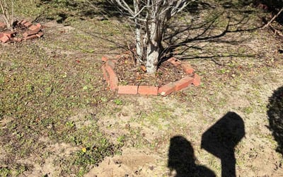 Photo of Sheila P.'s yard after getting landscaping in Bagdad, FL