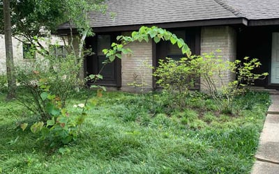 Photo of Barbara H.'s yard after getting landscaping in Houston, TX