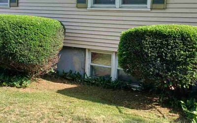 Photo of Jill C.'s yard after getting landscaping in Stratford, CT