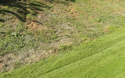 Photo of Stephanie G.'s yard after getting landscaping in Lula, GA