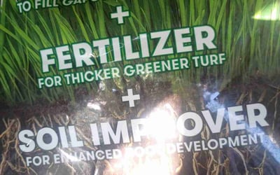 Photo of Nikki C.'s yard after getting tree care in Rockford, IL