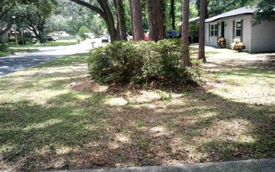 Photo of Tiffany O.'s yard after getting landscaping in Gainesville, FL