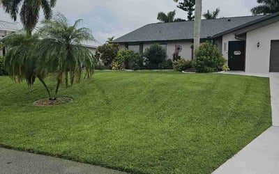 Photo of Telberth f.'s yard after getting lawn care in Cape Coral, FL