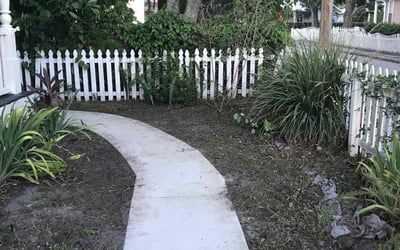 Photo of Kate S.'s yard after getting landscaping in Tampa, FL