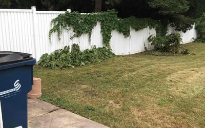 Photo of Tod P.'s yard after getting tree care in Appleton, WI