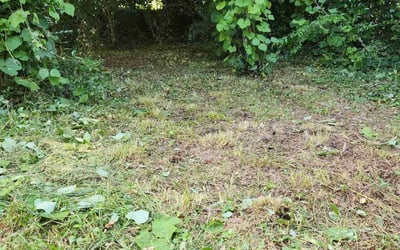 Photo of William S.'s yard after getting landscaping in Gastonia, NC