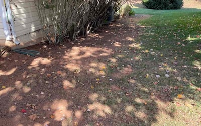 Photo of Joshua H.'s yard after getting landscaping in Port Tobacco, MD