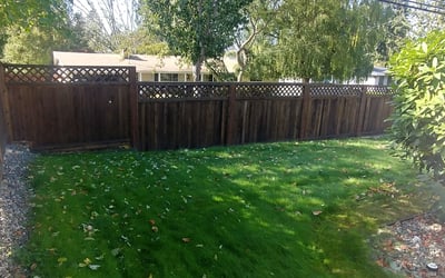Photo of Johanna C.'s yard after getting tree care in Olympia, WA