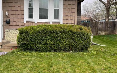 Photo of Jacob D.'s yard after getting landscaping in Edgerton, KS