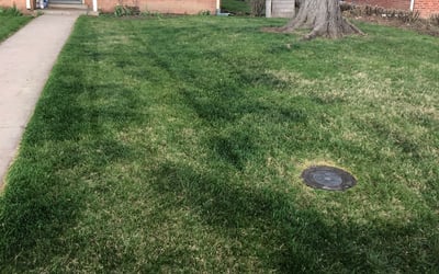 Photo of Erin C.'s yard after getting landscaping in Deer Trail, CO