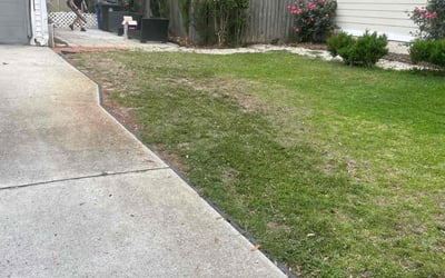 Photo of Megan M.'s yard after getting landscaping in Charleston, SC