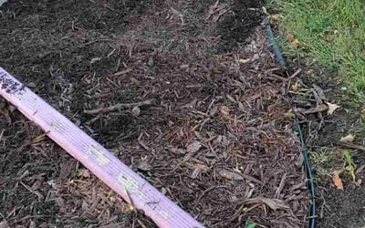 Photo of Dawn W.'s yard after getting landscaping in Blair, NE