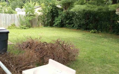 Photo of Matthew J.'s yard after getting landscaping in Derby, OH