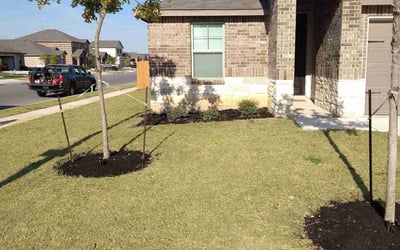 Photo of Alice M.'s yard after getting landscaping in Comfort, TX