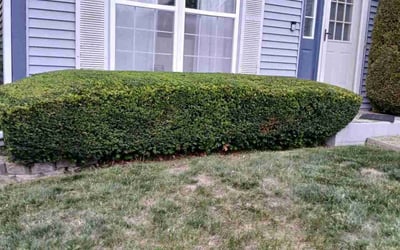 Photo of Jeffrey J.'s yard after getting landscaping in Carpentersville, IL