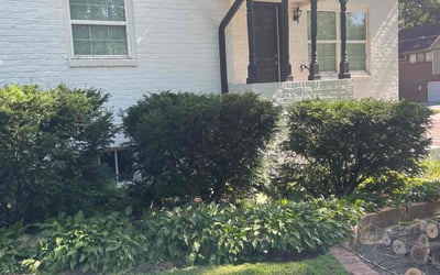 Photo of Katie W.'s yard after getting landscaping in Blair, NE