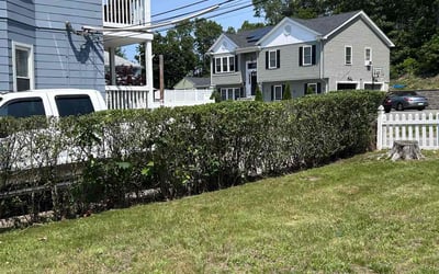 Photo of Elizabeth B.'s yard after getting landscaping in Woonsocket, RI