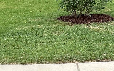 Photo of Chris M.'s yard after getting landscaping in Wicomico, VA