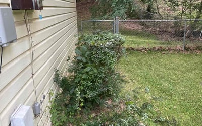 Photo of Kristin c.'s yard after getting lawn care in Morrow, GA