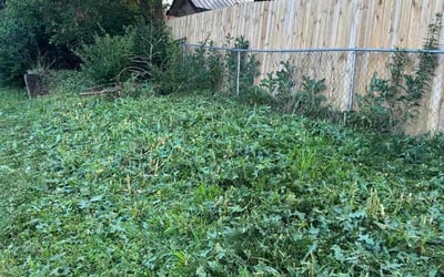 Photo of Troy R.'s yard after getting tree care in Lincoln, NE