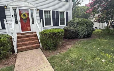 Photo of Nancy H.'s yard after getting tree care in Williamsburg, VA