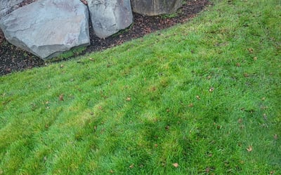 Photo of Nikhita K.'s yard after getting landscaping in Roy, WA