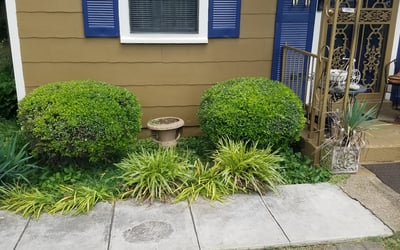 Photo of Amanda S.'s yard after getting landscaping in Senatobia, MS