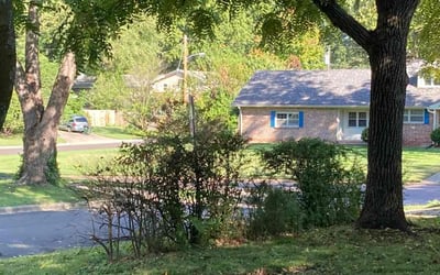 Photo of Emily S.'s yard after getting landscaping in Rogersville, MO