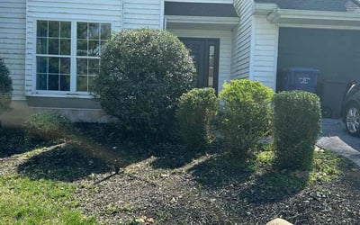 Photo of David S.'s yard after getting landscaping in Malvern, PA